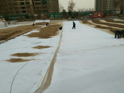 景觀池專用復(fù)合土工膜